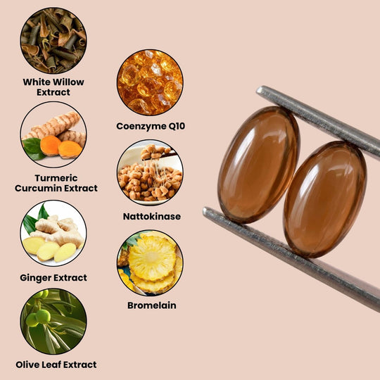 Nattokinase Cardiovascular & Circulation Formula